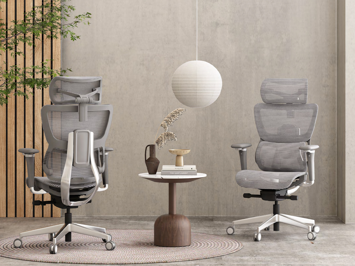Ergonomic Chairs